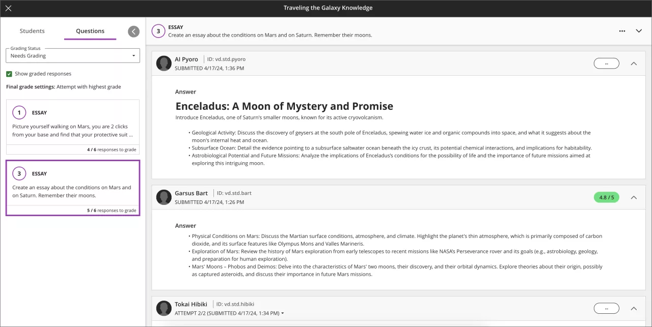 screenshot of the grading area by question