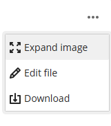 screenshot the Edit file options from the three dots menu