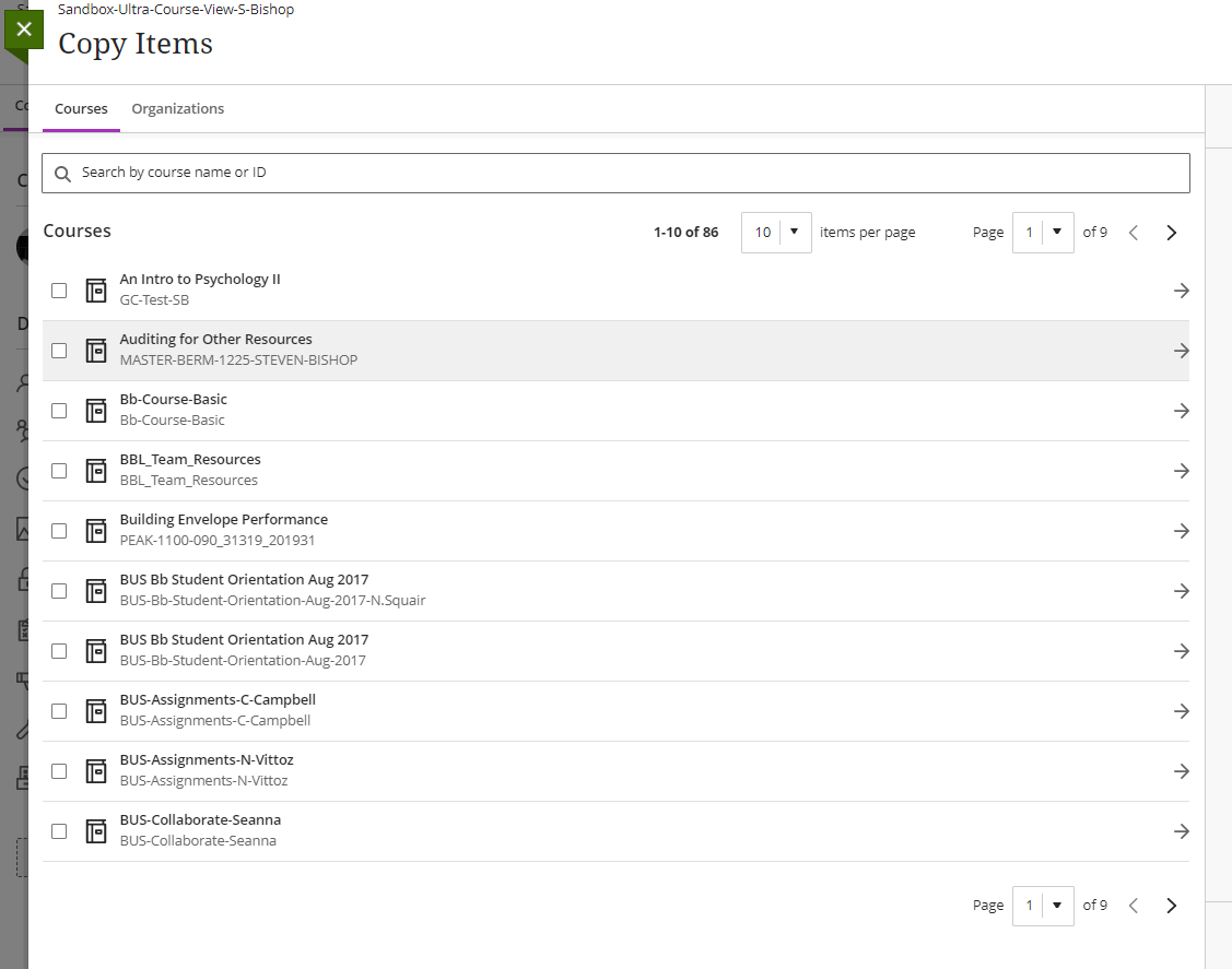 screenshot of the Copy Items panel
