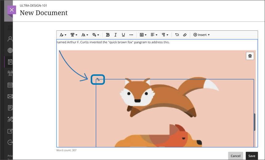 screenshot of an image in a Document 