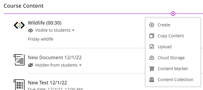 screenshot of how to add cloud files from the course content page