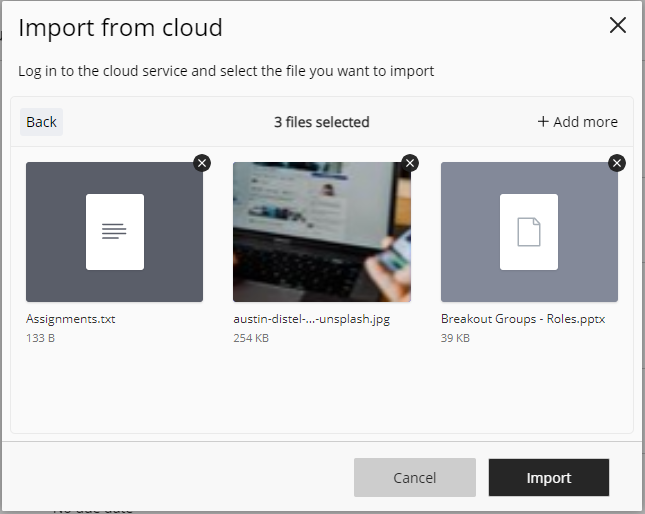 screenshot of selected cloud files and the option to deselect files, cancel, and import to course