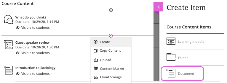 Image show Create Item side panel with 'Document' circled