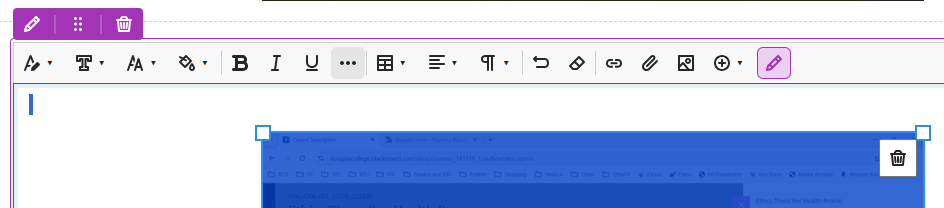 screenshot of the pencil icon on the content editor toolbar
