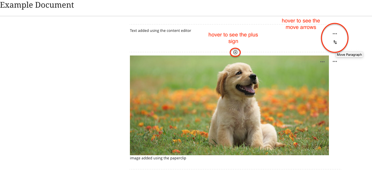 Image of example document with text and an image of a dog. Plus symbol and Move arrows are circled, hover over symbols to make them appear