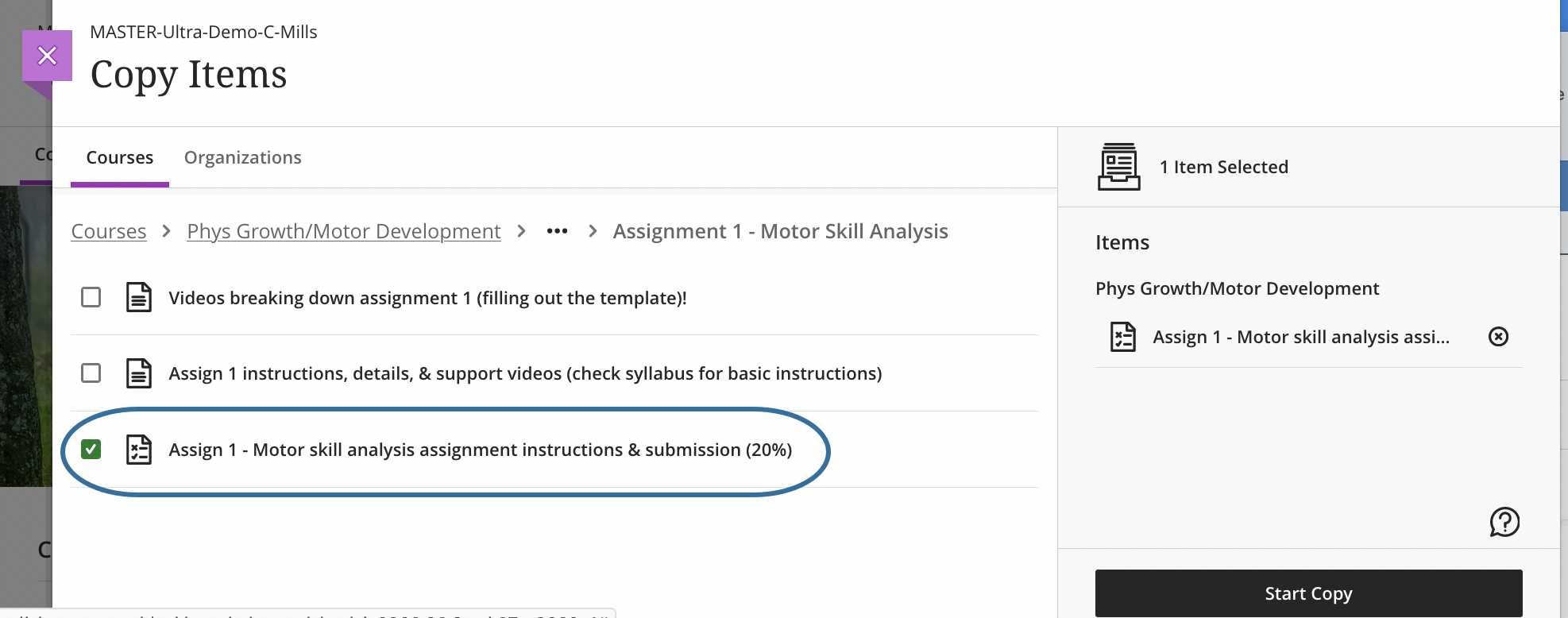 screenshot of selecting an assignment to copy in the Copy Items panel