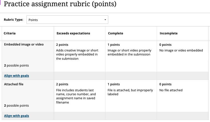 Points based instructor view of rubric