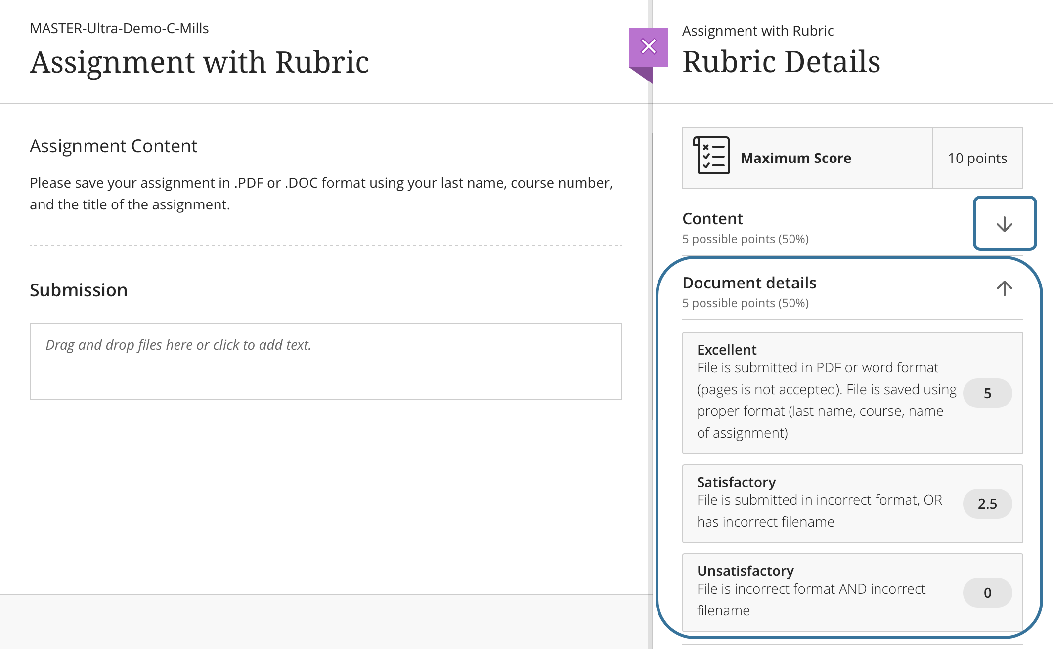 student viewing rubric while attempting assignment