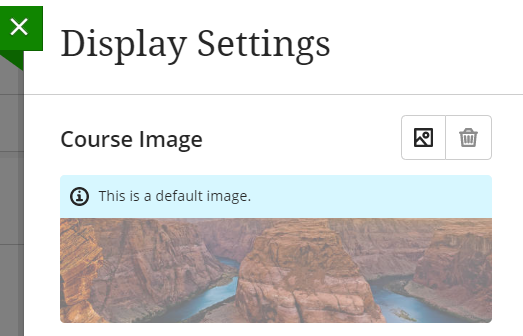 screenshot showing the image and trash icon for the course image