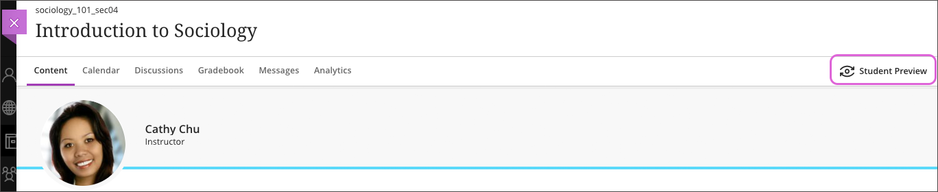 Student Preview button top right