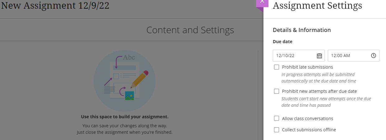 screenshot of the assignment settings