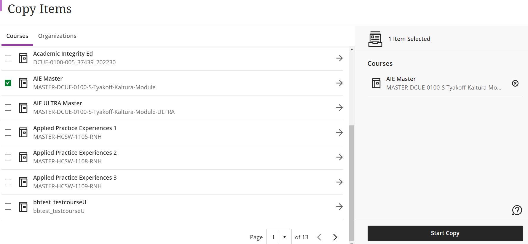 screenshot of the copy items panel