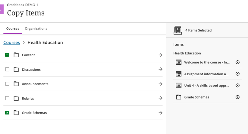 screenshot of multiple copied items in the copy items panel