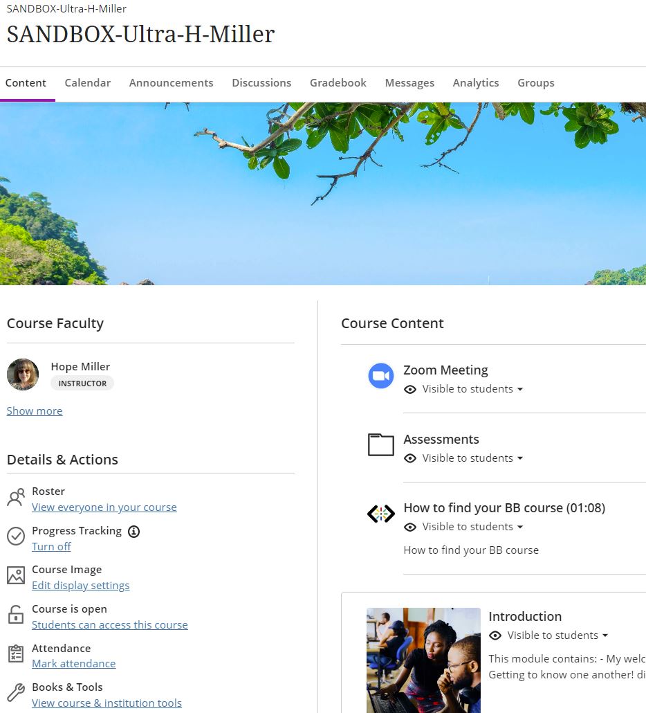 screenshot of an example sandbox