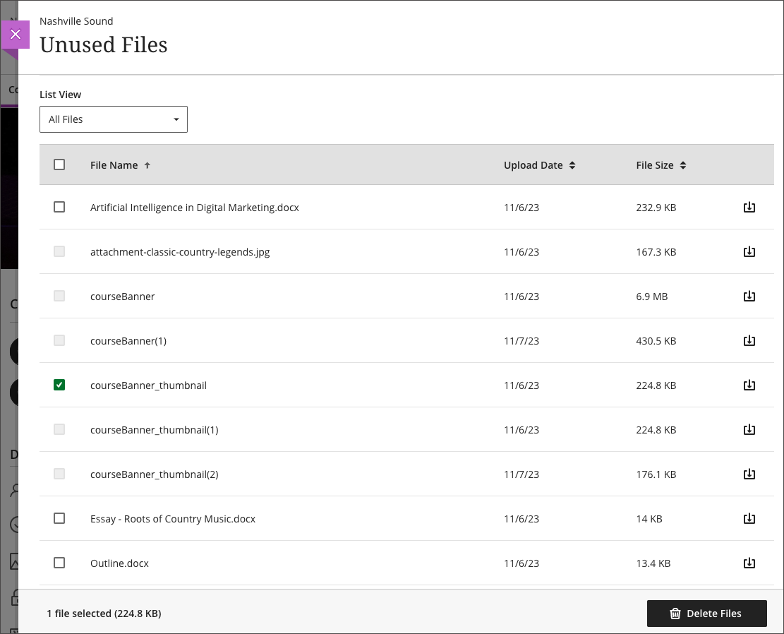 screenshot showing all files in the 'unused files' panel
