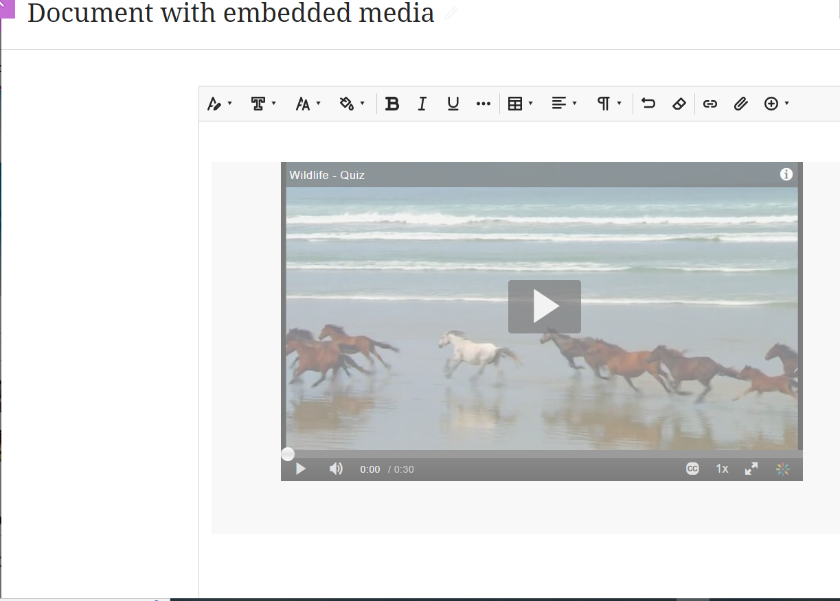 Screenshot of media as a playable thumbnail in a Document