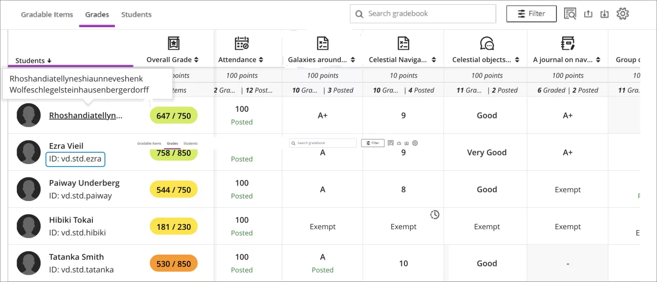 screenshot of grades view which displayes grades in a grid view with students on the y axis and items on the x axis. 