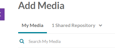 screenshot of the shared repository tab