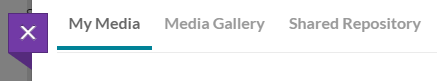 screenshot of the shared repository tab 