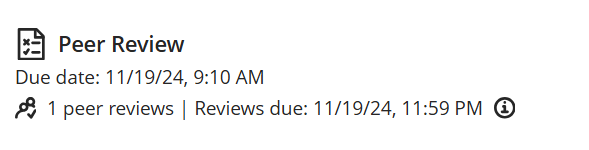 screenshot showing the peer review details below the assessment icon and title in the course content area