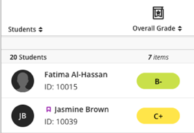 11-student-display-current-name-id-overall-grade-flag-20260817-165227.png